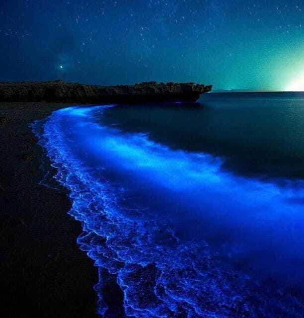 Cat Ba Island: Lan Ha Bay Bioluminescence Plankton Kayaking - FAQ