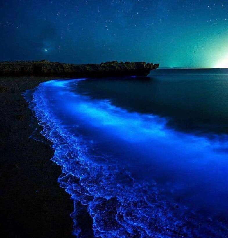 Cat Ba Island: Lan Ha Bay Bioluminescence Plankton Kayaking - Swimming, towels, and the comfort reality check