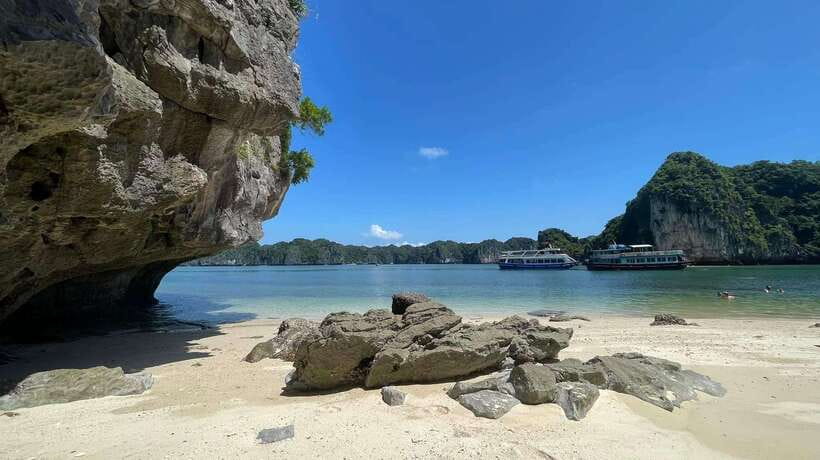 Cat Ba Island: Lan Ha Bay Bioluminescence Plankton Kayaking - Who should book this bioluminescent plankton kayaking tour