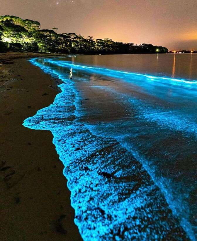 Cat Ba Island: Lan Ha Bay Bioluminescence Plankton Kayaking - The night kayaking window for glowing plankton