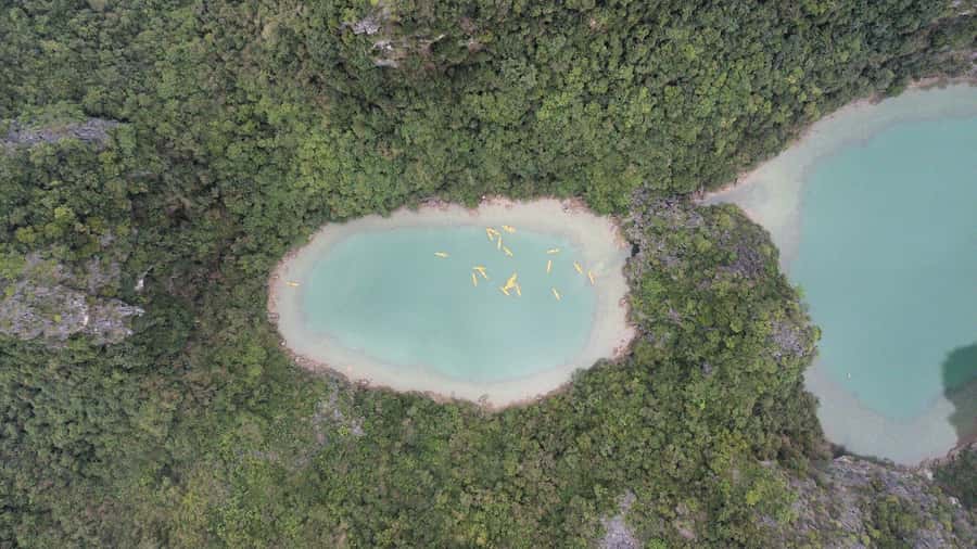Cat Ba: Lan Ha and Ha Long Bay Boat Tour with Kayaking, Cave - Lunch on board: good food, vegetarian option, and a chance to reset