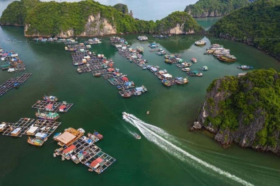 Cat Ba : Lan Ha Bay Boat Trip, Kayaking and Swimming - Floating islands, Monkey Island, and the reality check on extra stops