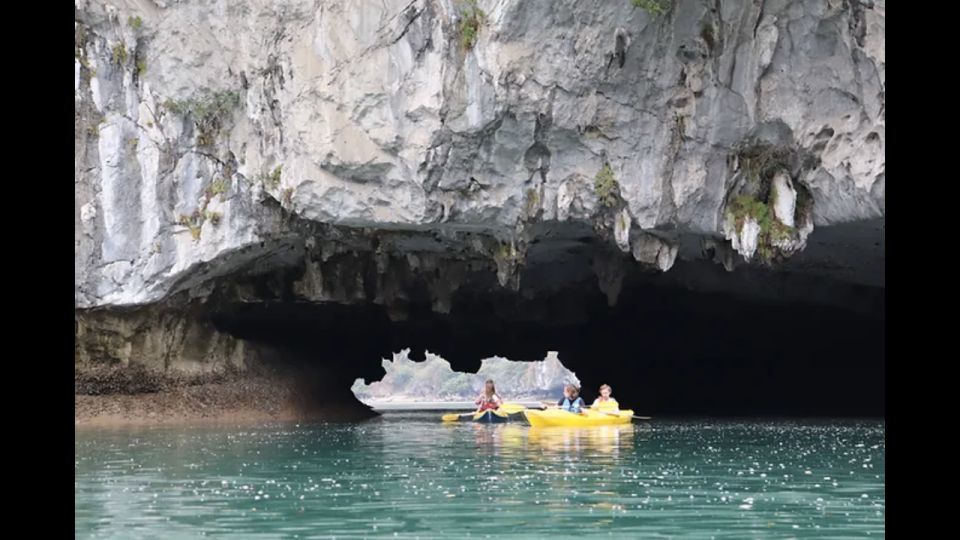 Cat Ba: Lan Ha & Ha Long Bay Kayak & Snorkel Boat Tour - What to bring (and what to double-check)
