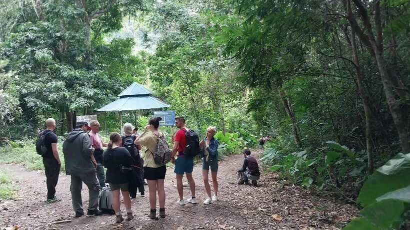 Cat Ba: National Park Day Trip with Cycling and Kayaking - Fitness fit: who will enjoy this and who should skip it