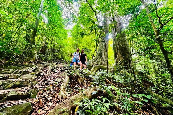 Cat Ba National Park Full Day Trekking Tour to Viet Hai Village - Price and Value: Why $39 Can Work If You Want This Mix