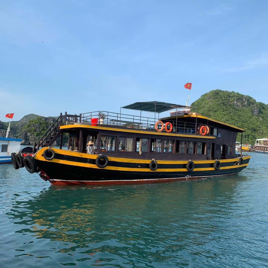 Cat Ba: Night Kayaking with Glowing Plankton - Lan Ha Bay Swimming and Scenic Cruising