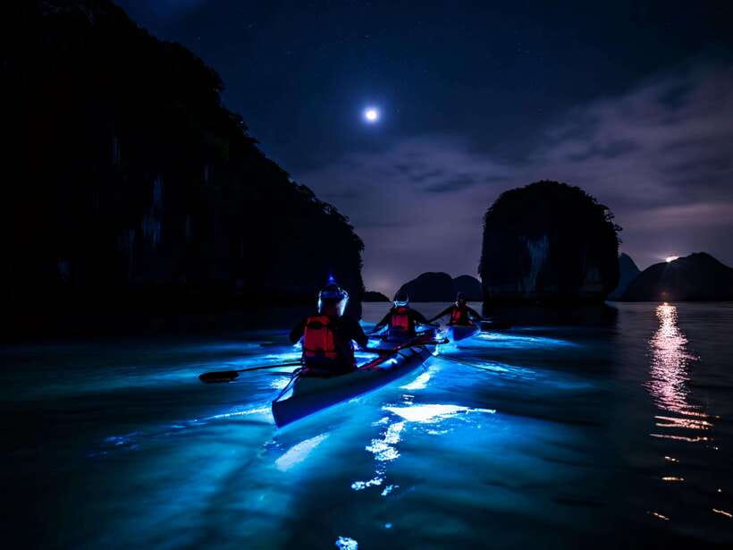 Cat Ba: Sunset and Night kayak with bioluminescent plankton - The 4.5-hour flow: from Dong Bac pickup to a late return