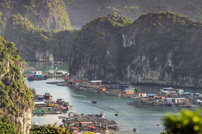 Cat Ba: Sunset & Bioluminescent Kayaking on Lan Ha Bay - Bioluminescent kayaking: what to expect when paddles start to glow