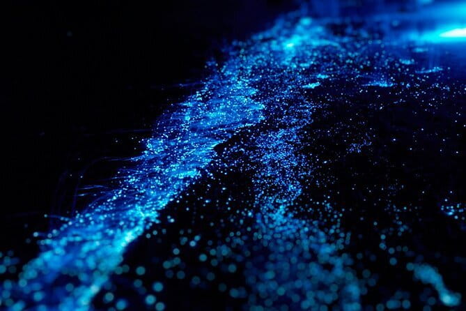 Cat Ba: Sunset & Bioluminescent Kayaking on Lan Ha Bay - Price and logistics: what $43 covers (and why it’s fair)
