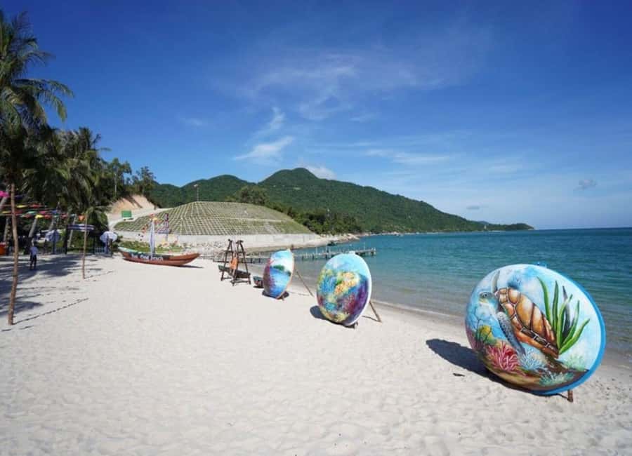 Cham Island: 1-Day Speedboat Trip with Snorkeling and Lunch - Snorkeling at Bãi Xếp or Hòn Tai: What You’ll See