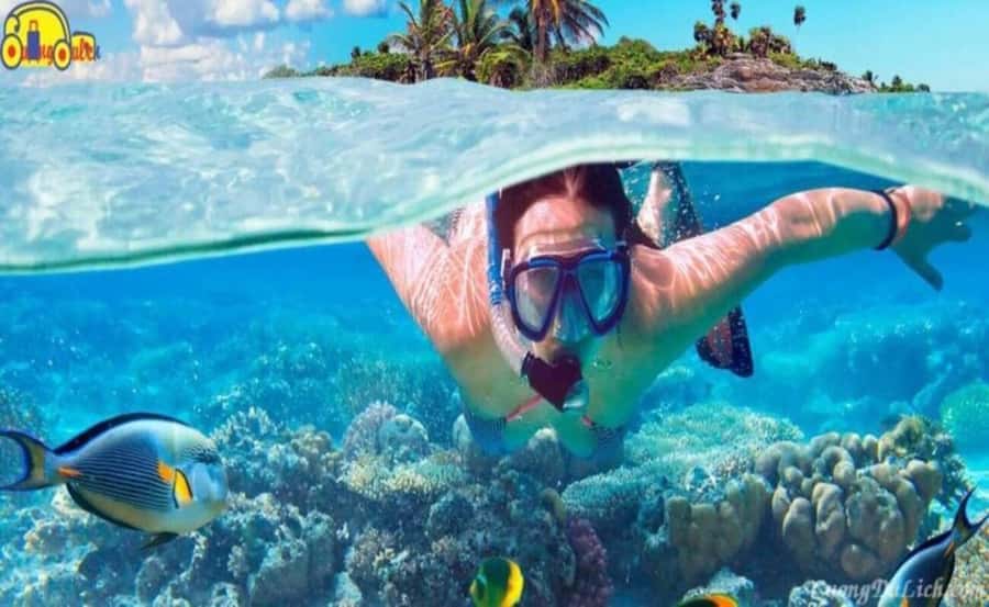 Cham Island: 1-Day Speedboat Trip with Snorkeling and Lunch - Beach Lunch That Actually Makes Sense