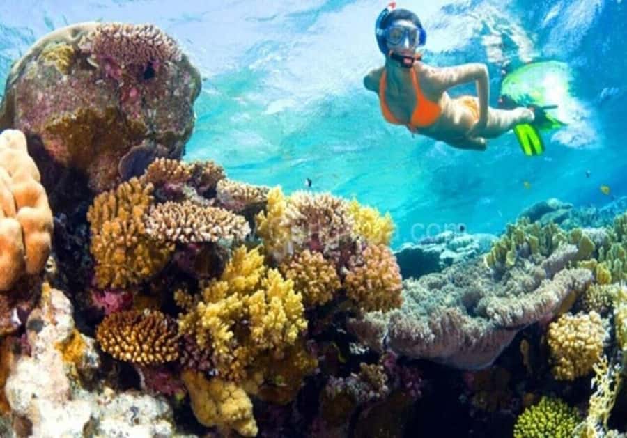 Cham Island: 1-Day Speedboat Trip with Snorkeling and Lunch - After Lunch Swim Time: Short, Sweet, and Sun-Heavy