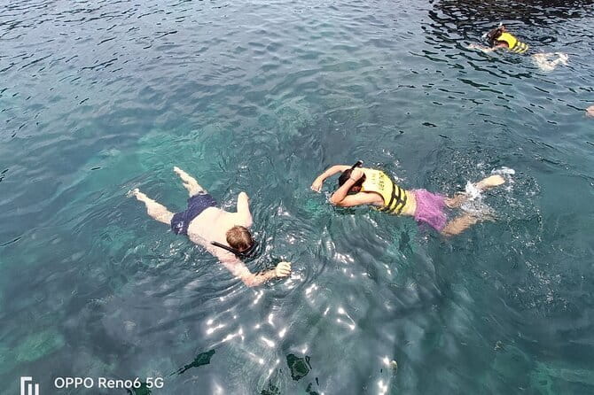 Cham Island: Snorkeling Tour - Price and value: why $53 can be fair here