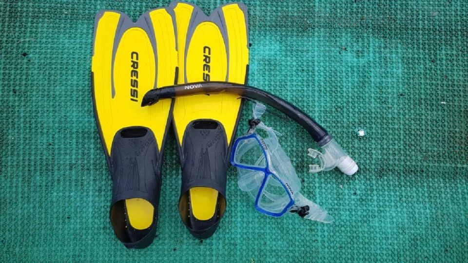 Cham Island: Snorkeling Tour - Who should book this Cham Island snorkeling tour