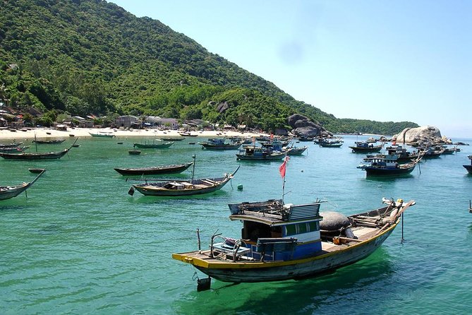 Cham Island Tour Snorkeling -Sunbathing - Nice Beach - Speedboat - Snorkeling on Hon Lao Island: how to set your underwater expectations