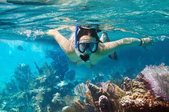 Cham Island Tour Snorkeling -Sunbathing - Nice Beach - Speedboat - From your hotel to Cua Dai Harbor: how the morning actually works