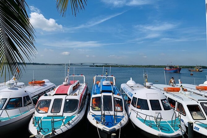 Cham Island Trip by Speed Boat including Snorkeling from Hoi An or Da Nang - Key Things I’d Focus On Before You Go