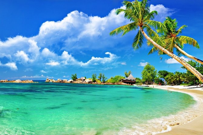 Cham Island Trip by Speed Boat including Snorkeling from Hoi An or Da Nang - Snorkeling at Cu Lao Cham’s UNESCO Waters: Time, Gear, and Real Safety Tips