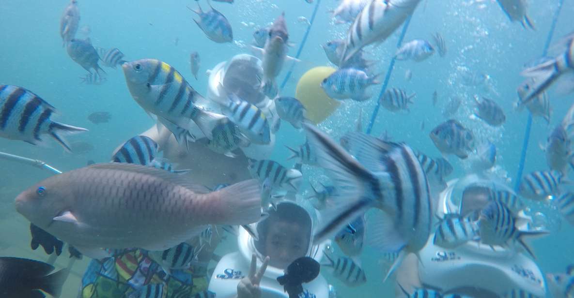 Cham Island: Underwater Walking & Snorkeling Tour - Key takeaways