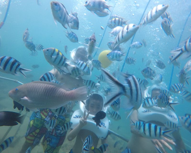Cham Island: Underwater Walking & Snorkeling Tour - Snorkeling on Cham: reef time, what you might see, and why it can vary