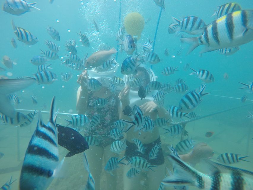 Cham Island: Underwater Walking & Snorkeling Tour - Underwater walking at sea level: the helmet, ladder, and fish-feeding magic