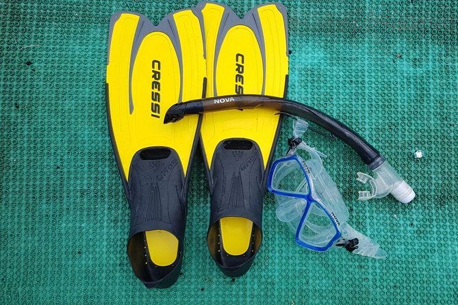 Cham Islands Snorkeling Tour by SpeedBoat from Da Nang - Cu Lao Cham Marine Park: Why Cham Islands Matter