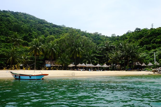 Cham Islands Snorkeling Tour by SpeedBoat from Da Nang - Smart Tips to Make It Better