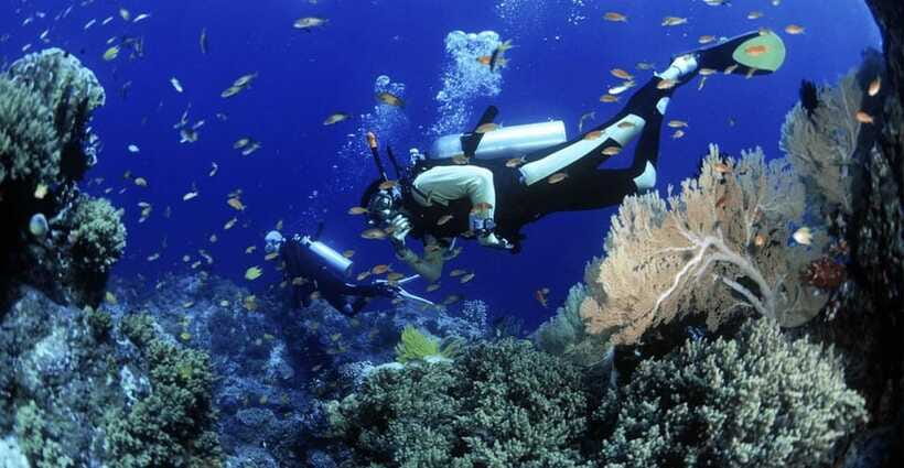 Cham Islands Snorkeling Tour by Speedboat : Hoi An/Da Nang - Who This Tour Fits Best (and Who Should Skip It)