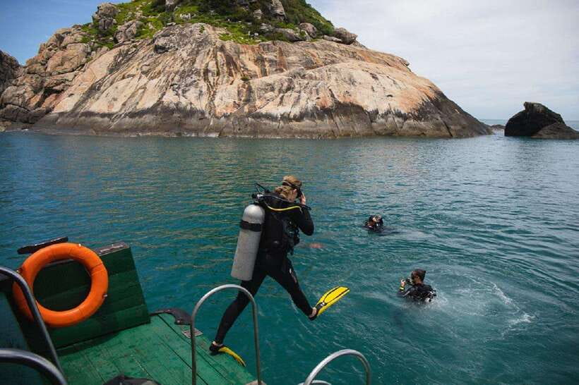 Cham Islands Snorkeling Tour by Speedboat : Hoi An/Da Nang - Lang Beach and the Marine Protected Area: Snorkeling With Context