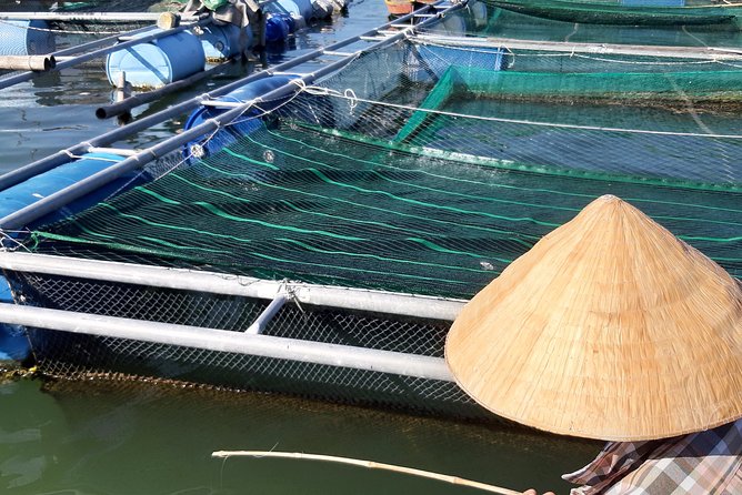 Coconut Basket Boat Trip - A Must - Do Experience in Hoi An! - Value for $6: What You Get, What You Might Add, and Who It Fits