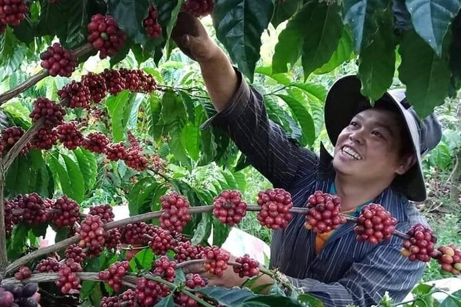 Coffee & Culture Experience _From Farm to Cup by Elon Farm - Key Highlights at Elon Farm’s Coffee & Culture Experience