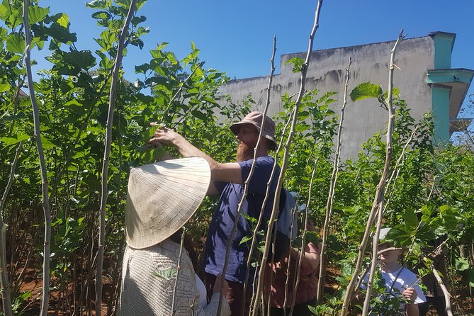 Coffee & Culture Experience _From Farm to Cup by Elon Farm - Harvesting, Processing, Milling, and Roasting: Your Coffee Hands-On Path