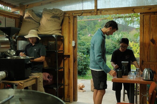 Coffee Farm Tour with Roasting & Tasting Workshop - Da Lat - The 1 hour 15 minutes roasting-and-tasting flow (and why it matters)