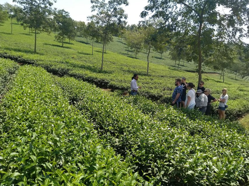 Coffee - Wine - Tea Da Lat's Agricultural Treasures Tour - Private motorbike touring: comfort, pacing, and what to ask yourself