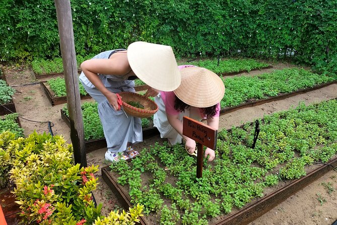 Cooking Class Hoi An - Organic Garden - Farming Tour-Handicrafts - Herbal drinks and folk games: the cultural side you won’t skip