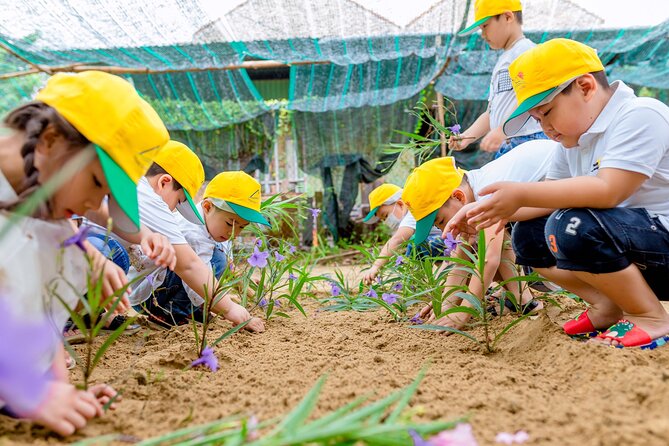 Cooking Class Hoi An - Organic Garden - Farming Tour-Handicrafts - Who should book (and who might not love it)
