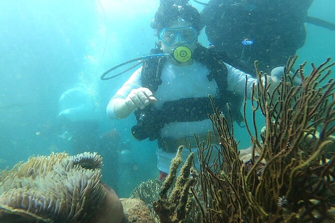 Coral Reef Snorkeling and Floating Bar Party from Nha Trang - A party-boat day in Nha Trang: what you’re really booking