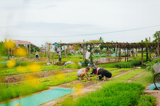 Countryside Adventure Private Tour by Electric Car - Traditional market stop: local foods without the city rush