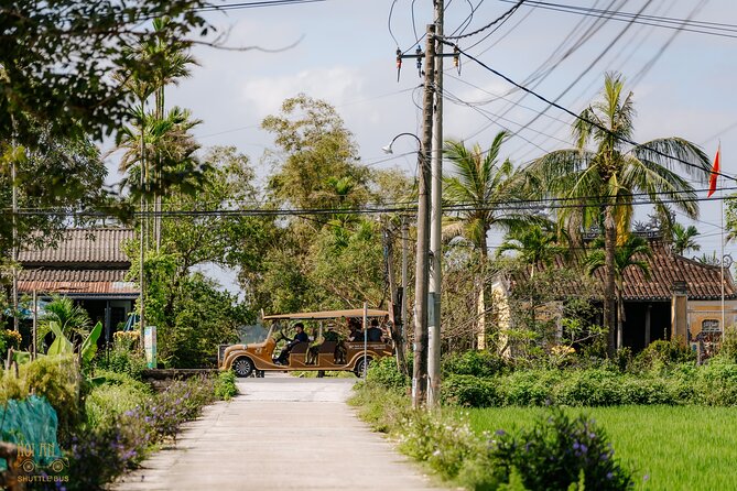 Countryside Adventure Private Tour by Electric Car - Rice field views, farm animals, and bird spotting moments