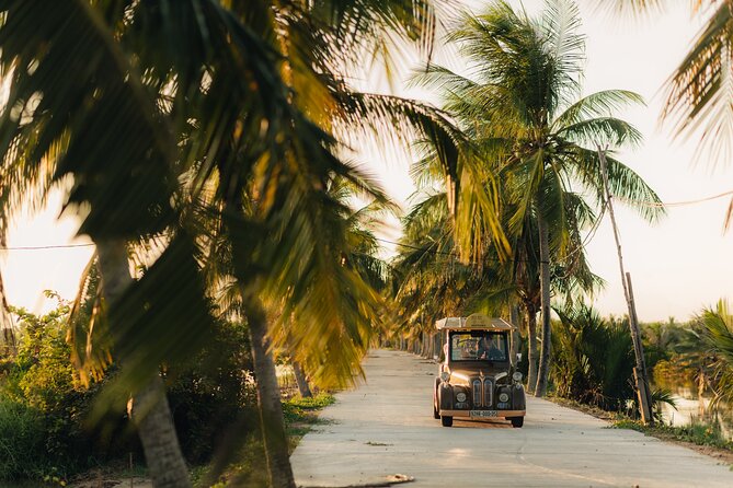 Countryside Adventure Private Tour by Electric Car - Coconut forest and coconut mangroves: where the basket-boat vibe lives