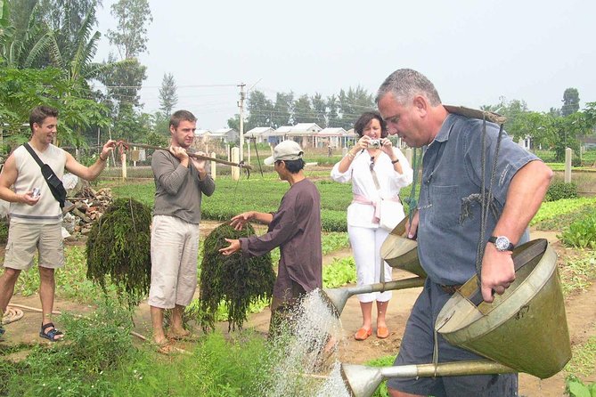 Countryside and Villages Tour By Motorbike - Stop 4: Tra Que Vegetable Village—herbs, herbs, and more herbs
