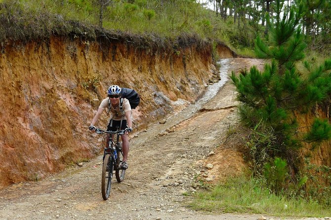 Crazy 8 Mountain Bike Tour from Dalat - The Crazy 8 experience in Da Lat: why this ride feels special