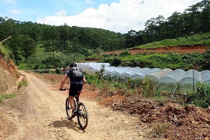 Crazy 8 Mountain Bike Tour from Dalat - Lunch break and purified water: small inclusions that change your day