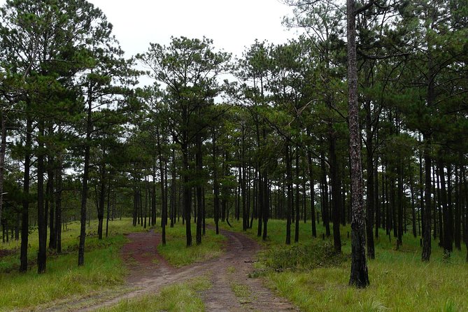 Crazy 8 Mountain Bike Tour from Dalat - What to bring (so the tour doesn’t become a battle)