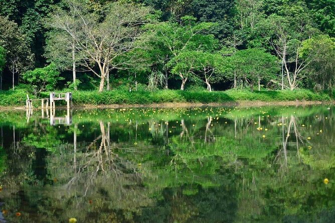 Cuc Phuong National Park Private Day Tour: Trekking & Primates - The Hanoi to Cúc Phương drive: 130 km, 2.5 hours each way