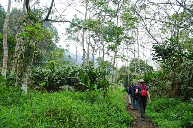 Cuc Phuong National Park Private Day Tour: Trekking & Primates - First stop: Endangered Primate Rescue Centre (included, and the heart of the day)