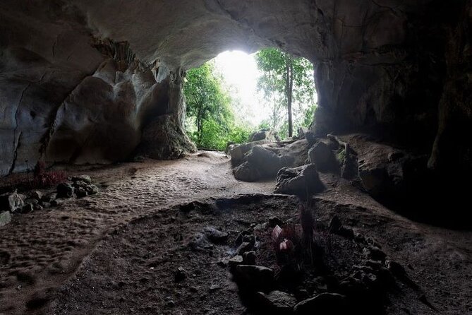 Cuc Phuong National Park Private Day Tour: Trekking & Primates - The hike and steps: how hard is this trek really?