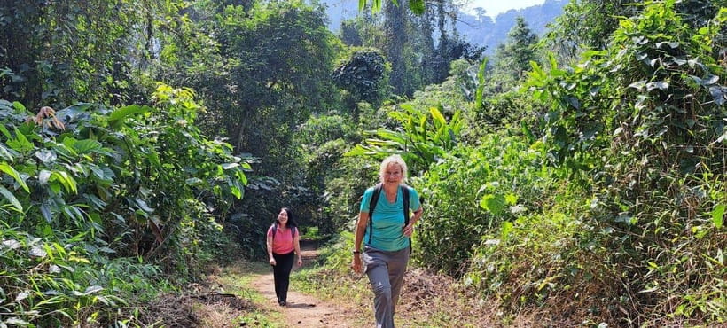 Cuc Phuong National Park - Van Long Day Trip From Hanoi - Getting from Hanoi: pickup, timing, and what to pack