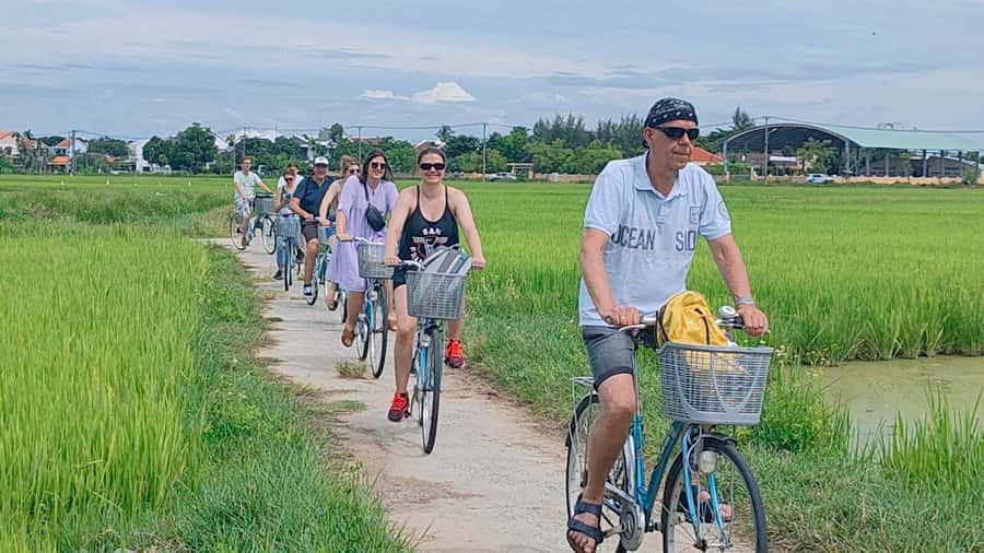 Cycling, Water Buffalo Riding, Traditional Farming Life - Rice Paddy Work with Farmers: Ploughing to Planting Baby Rice