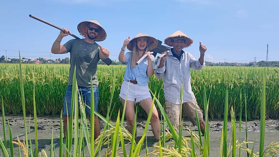 Cycling, Water Buffalo Riding, Traditional Farming Life - Lunch at a Local Home: Rice Milk and Hoi An Banh Xeo You Can Recreate